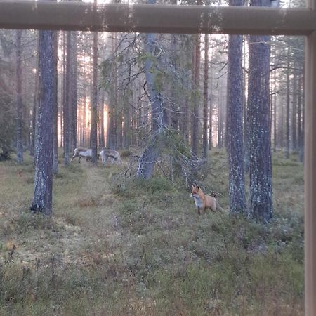 YlläsjärviYllaes Nilimaja公寓 外观 照片